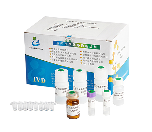 开云体云app官网入口