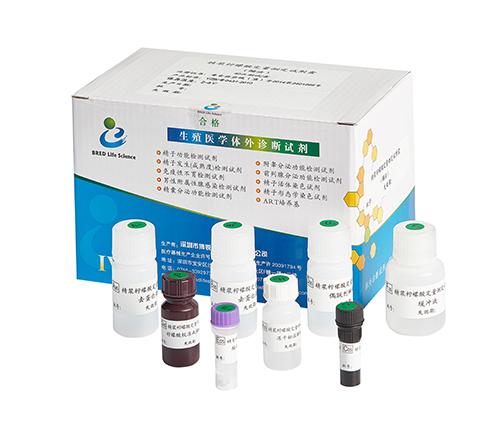 开云体云app官网入口