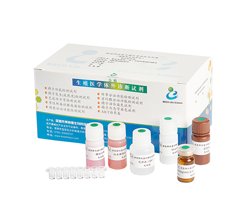 开云体云app官网入口