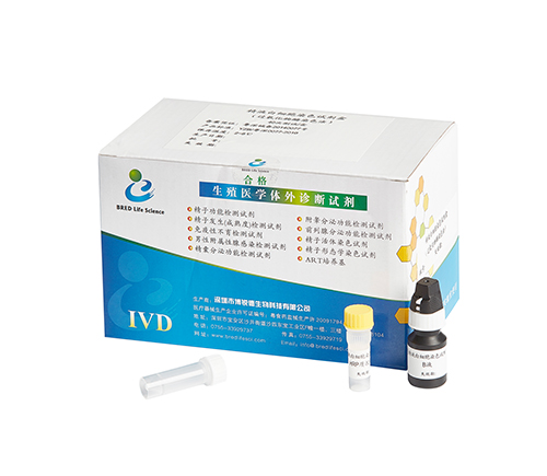 开云体云app官网入口