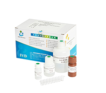 开云体云app官网入口