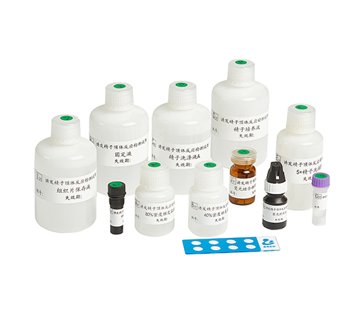 开云体云app官网入口