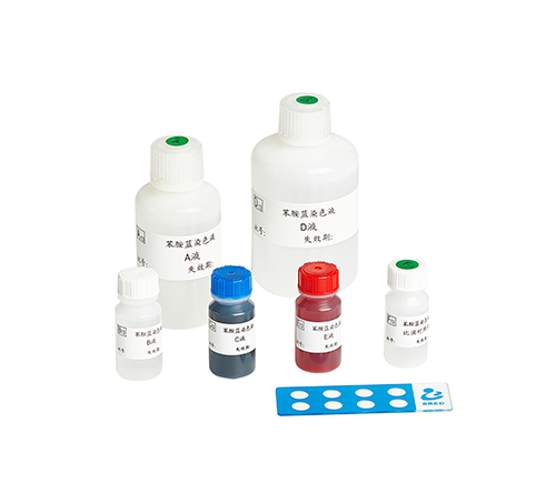 开云体云app官网入口