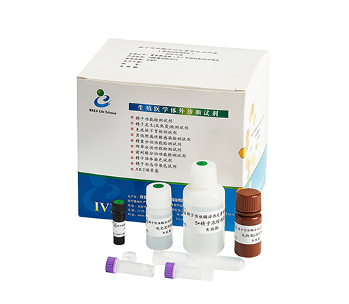 开云体云app官网入口