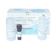 开云体云app官网入口