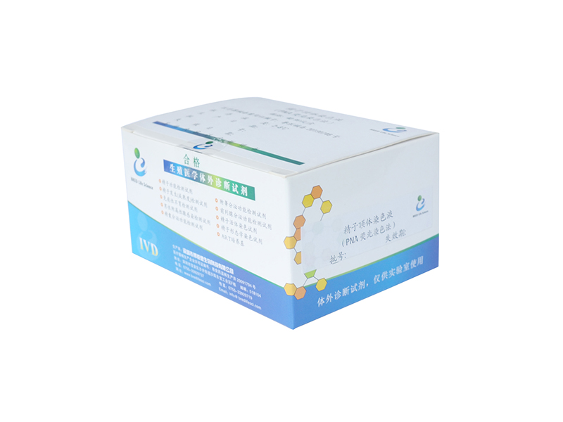 开云体云app官网入口