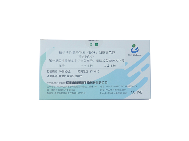 开云体云app官网入口