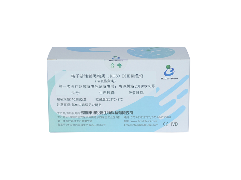 开云体云app官网入口