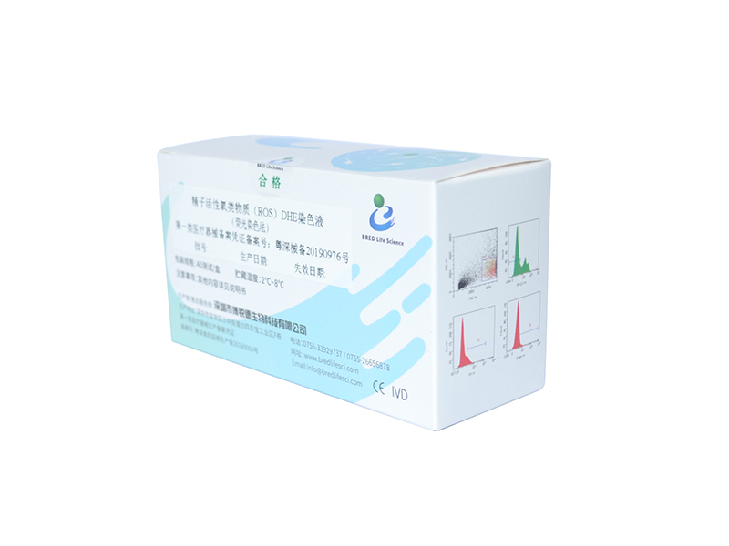 开云体云app官网入口