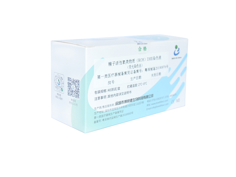 开云体云app官网入口