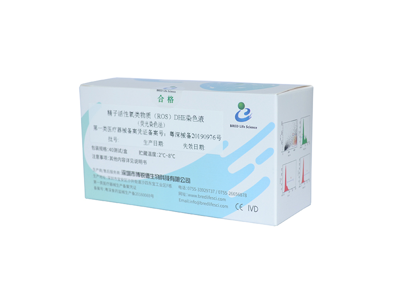 开云体云app官网入口