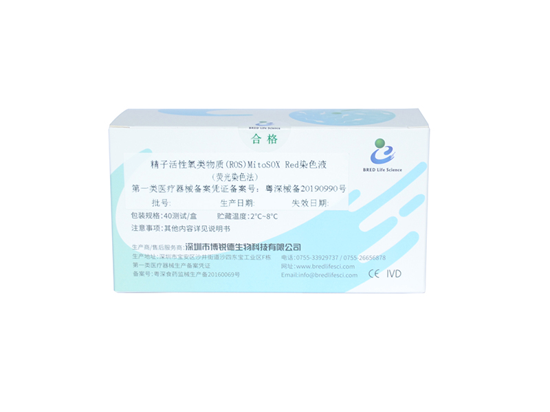 开云体云app官网入口