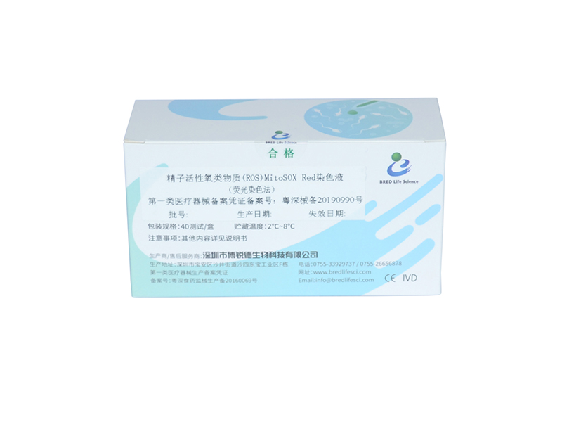 开云体云app官网入口