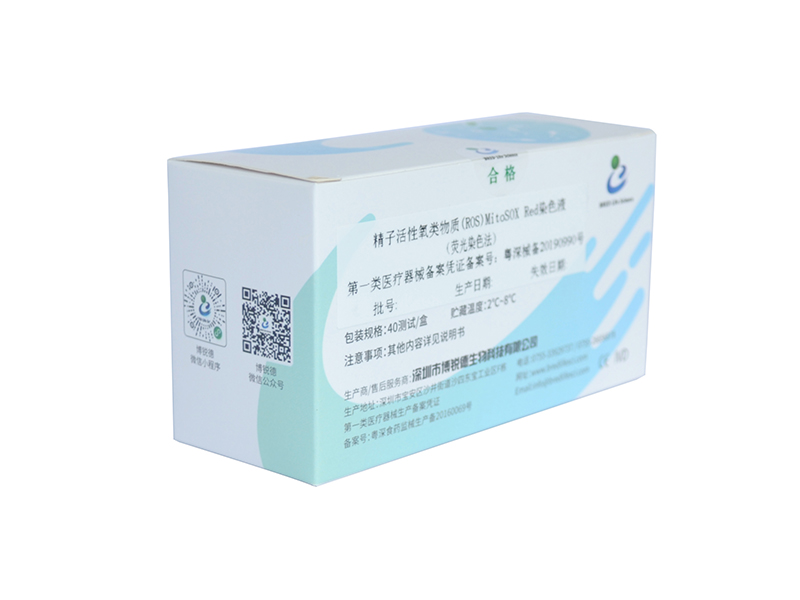 开云体云app官网入口