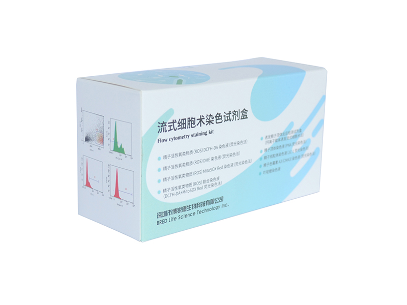 开云体云app官网入口