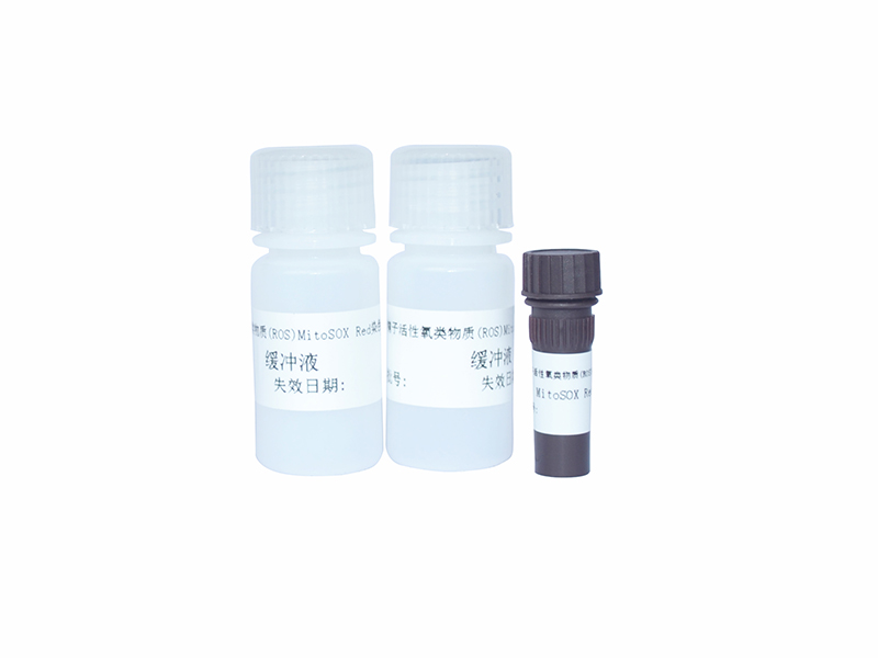 开云体云app官网入口