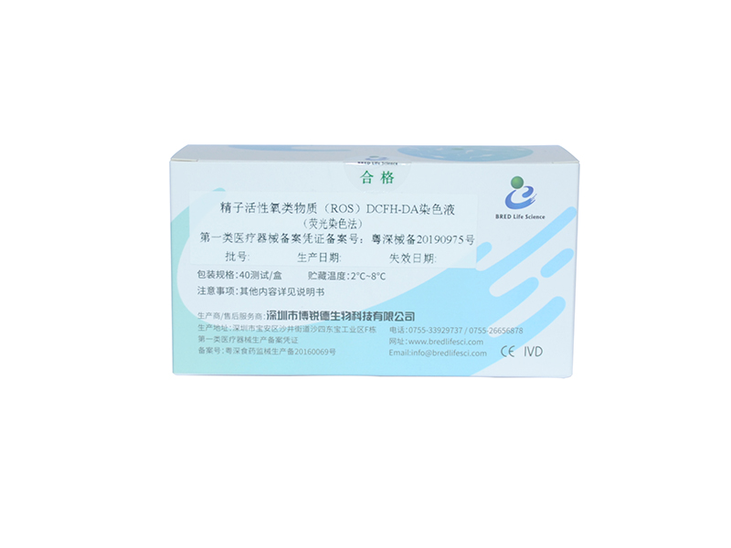 开云体云app官网入口