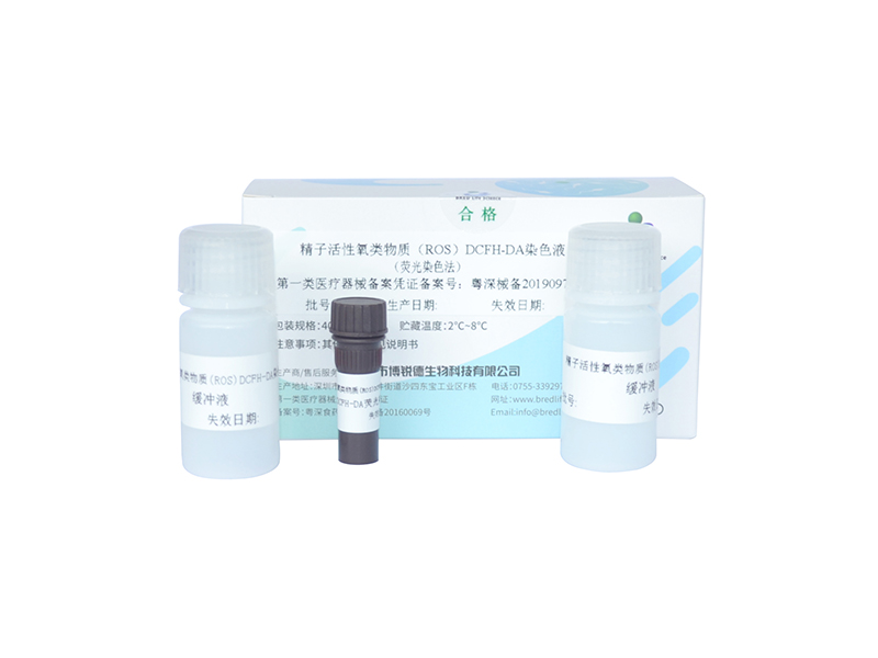 开云体云app官网入口