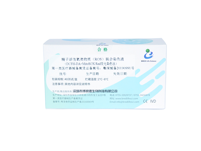 开云体云app官网入口