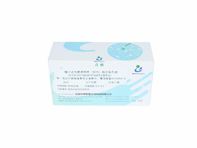 开云体云app官网入口