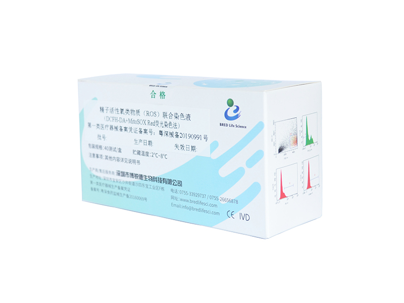 开云体云app官网入口