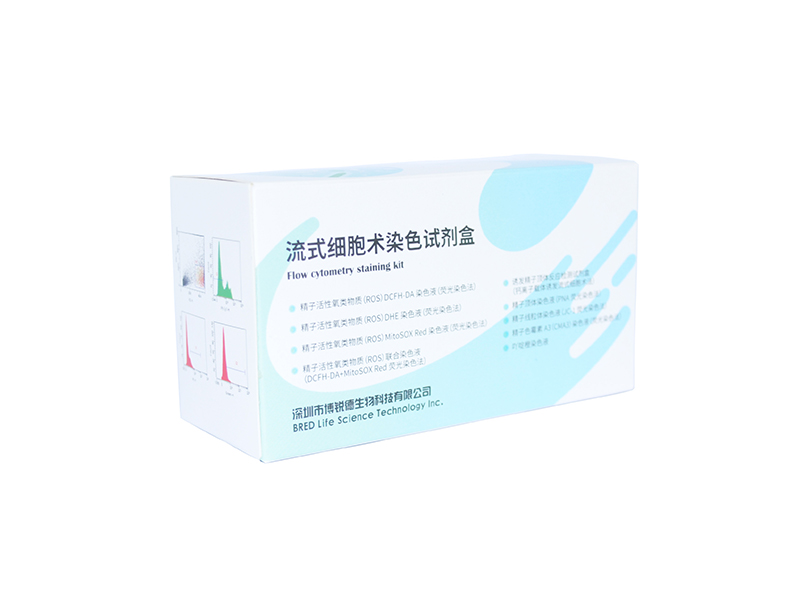 开云体云app官网入口