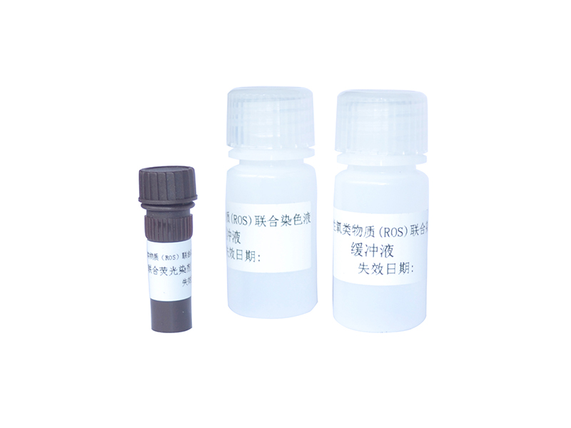 开云体云app官网入口