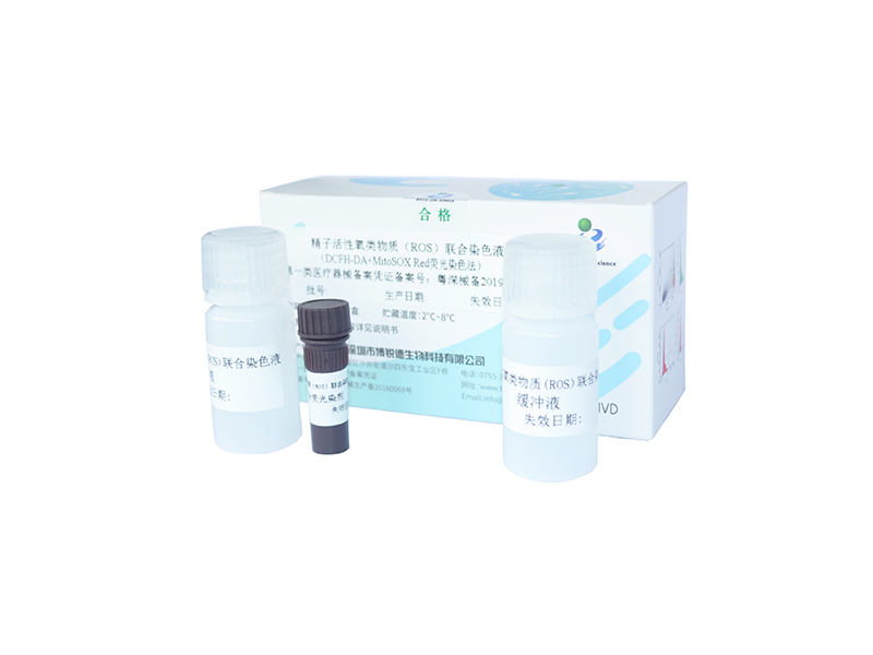 开云体云app官网入口