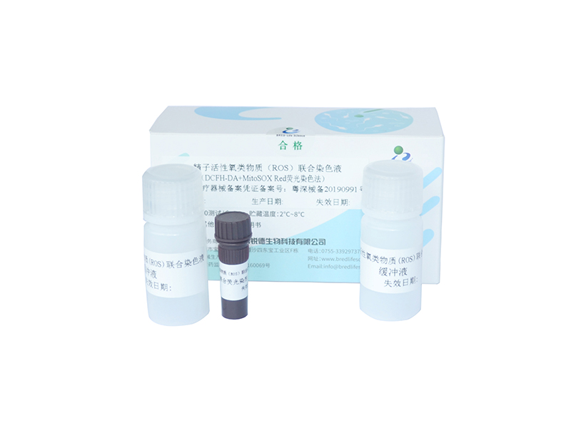 开云体云app官网入口