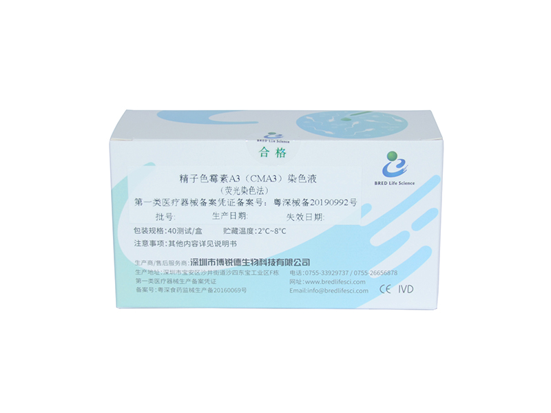 开云体云app官网入口