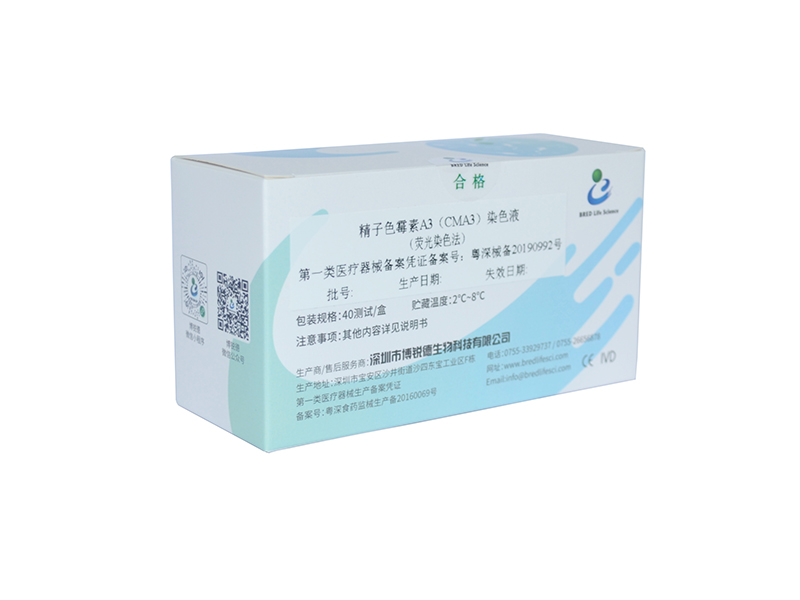 开云体云app官网入口