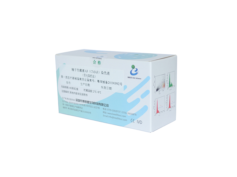 开云体云app官网入口