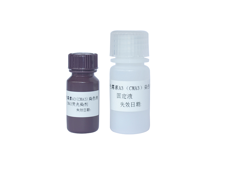 开云体云app官网入口