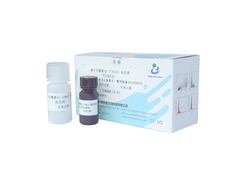 开云体云app官网入口