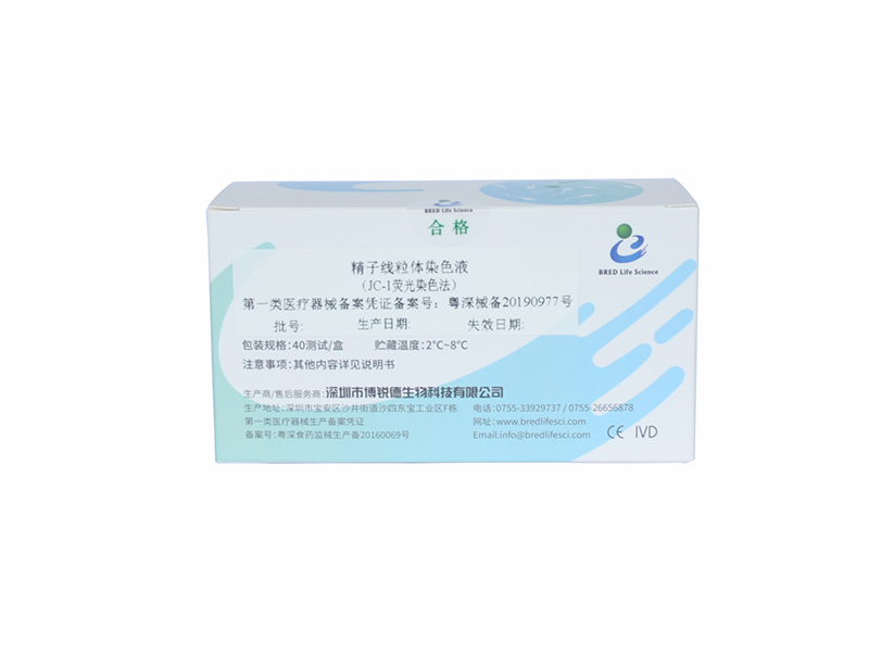 开云体云app官网入口