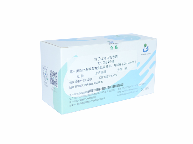 开云体云app官网入口