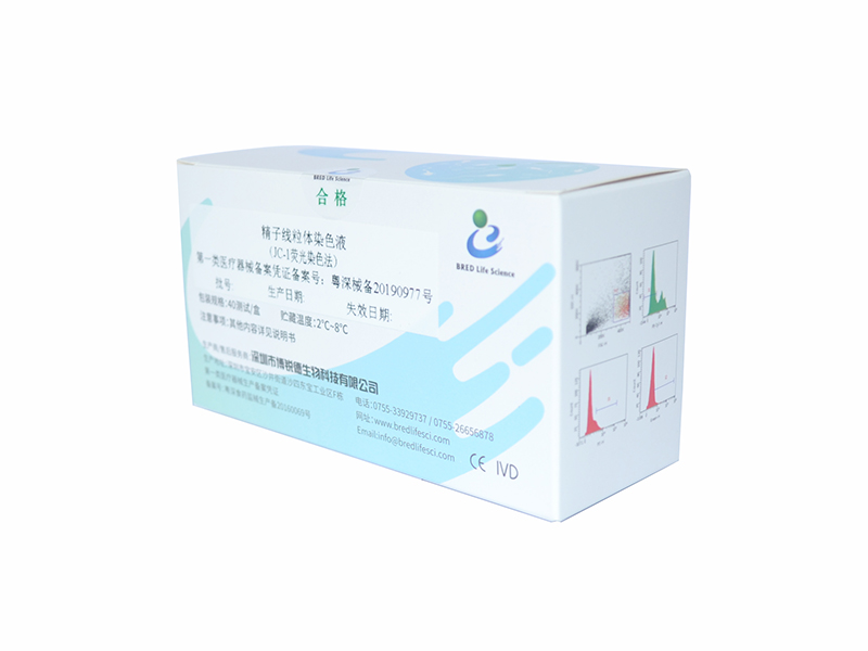 开云体云app官网入口