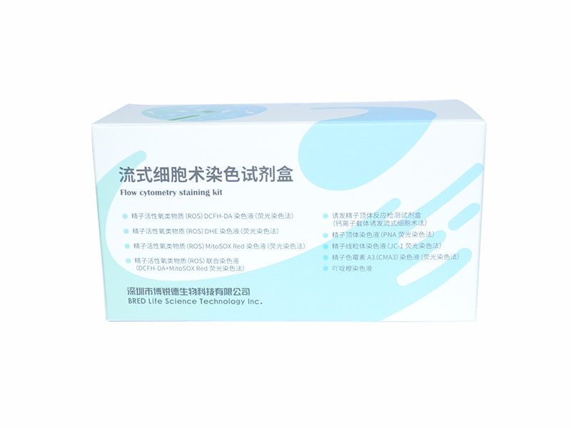 开云体云app官网入口