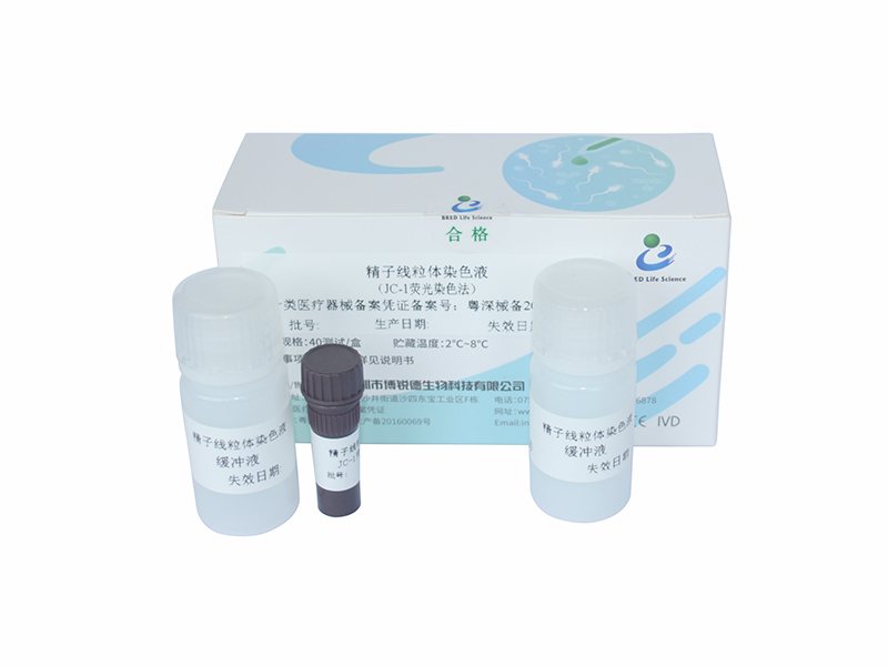 开云体云app官网入口