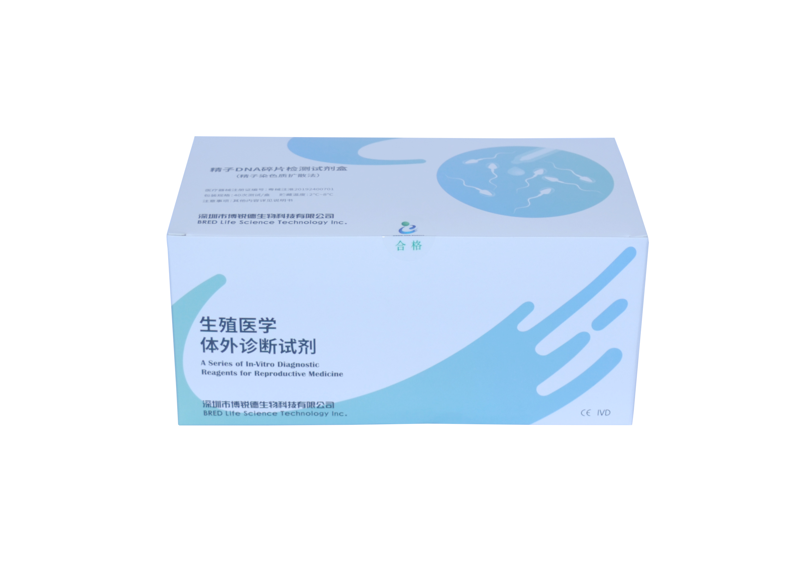 开云体云app官网入口