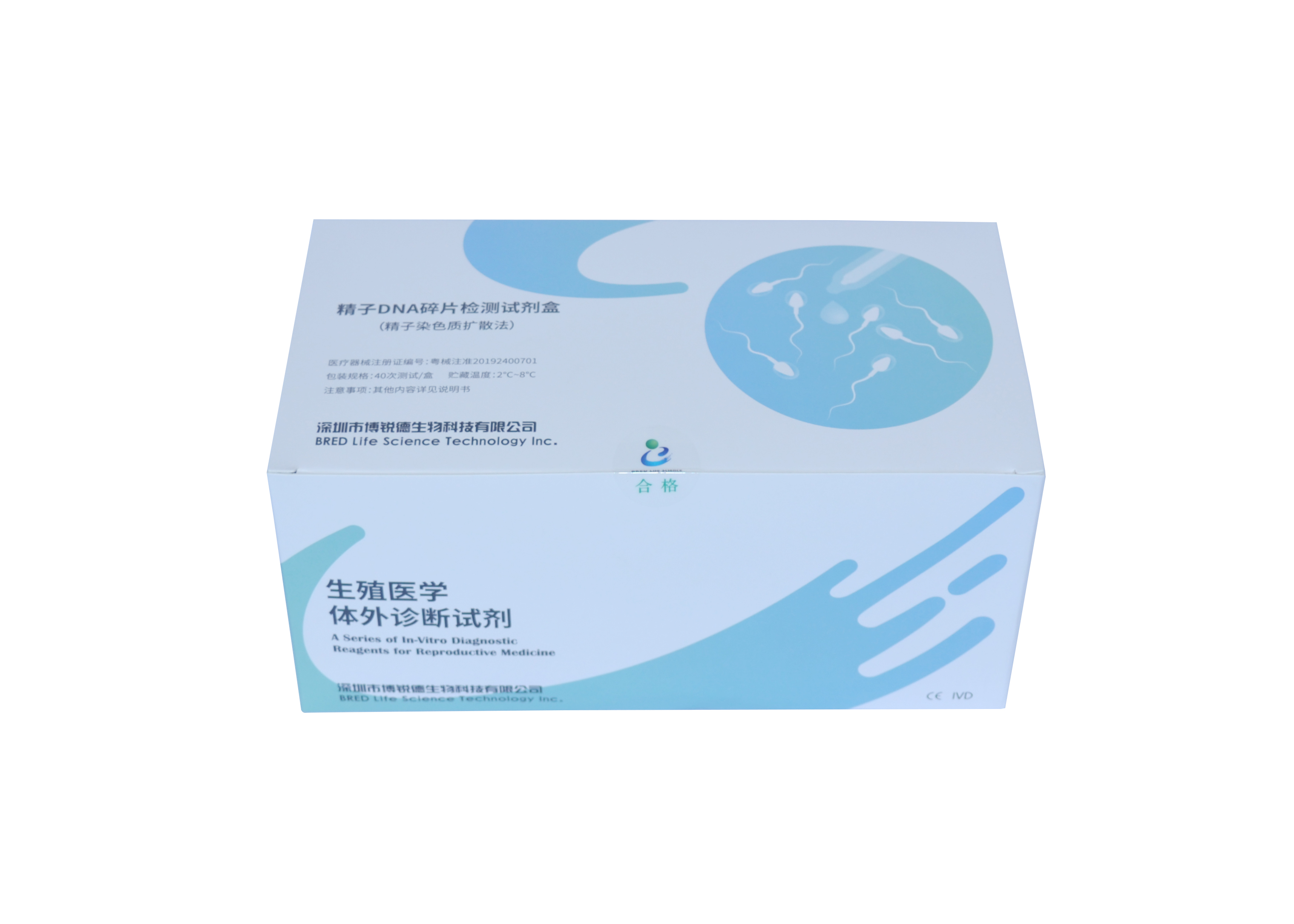 开云体云app官网入口