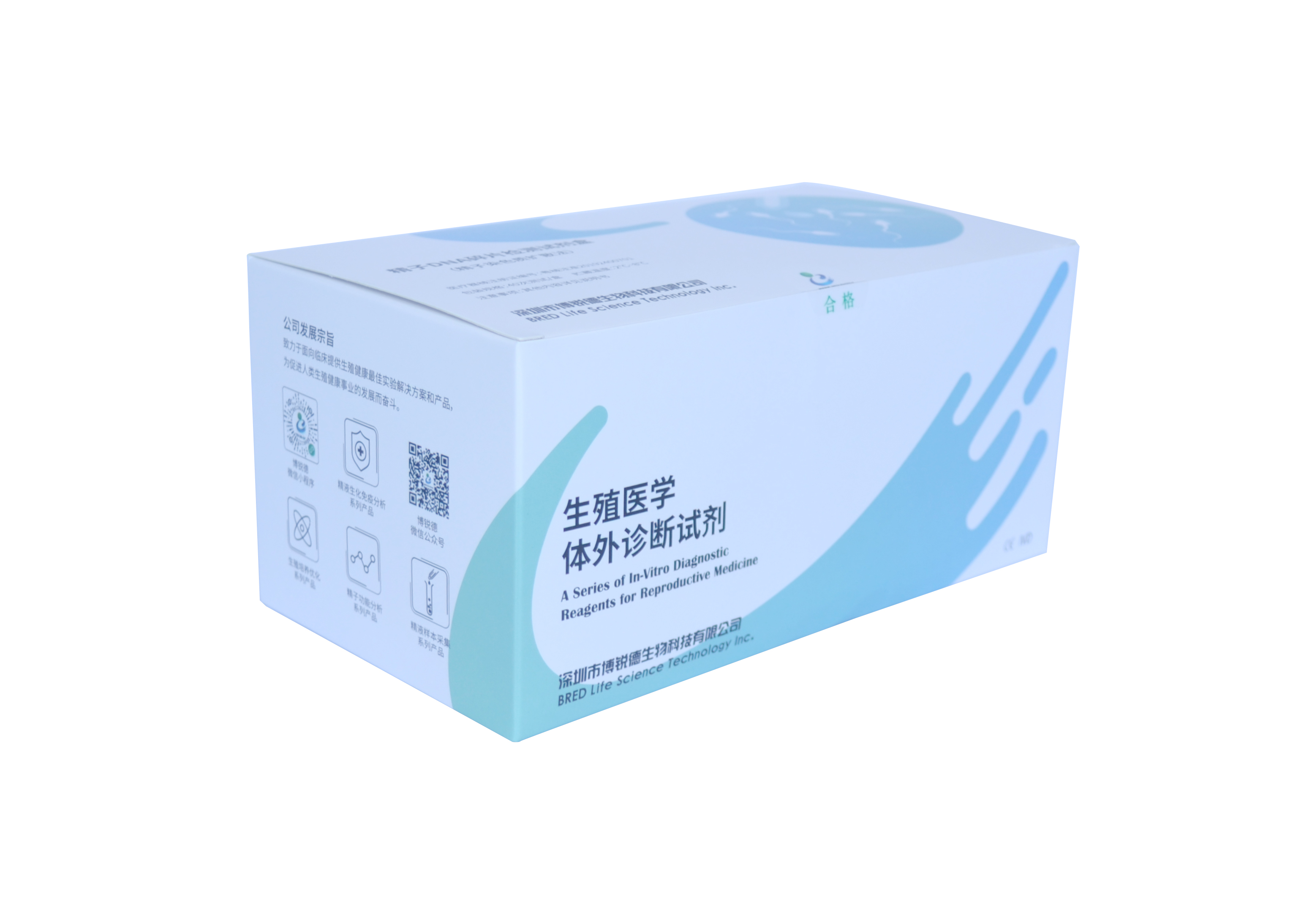 开云体云app官网入口