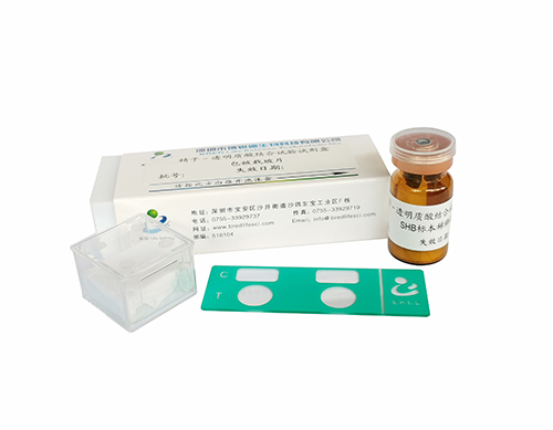 开云体云app官网入口