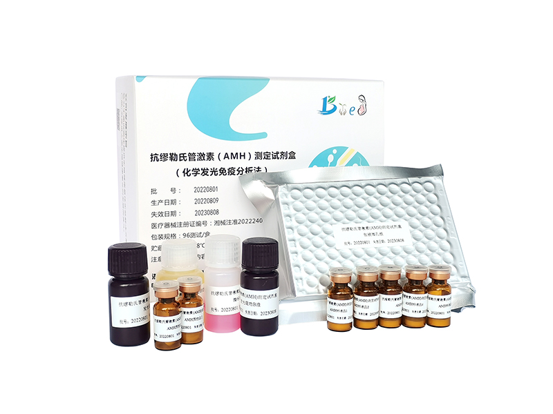 开云体云app官网入口