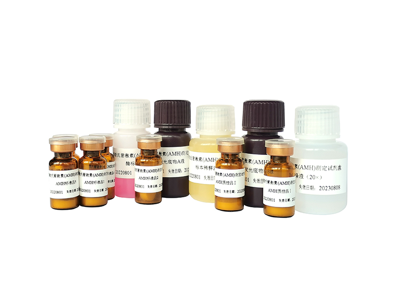 开云体云app官网入口