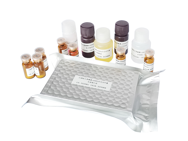 开云体云app官网入口