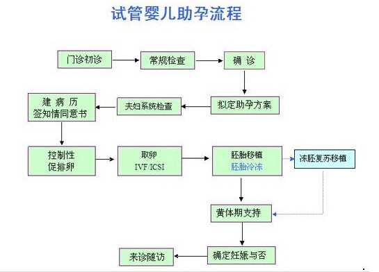 开云体云app官网入口