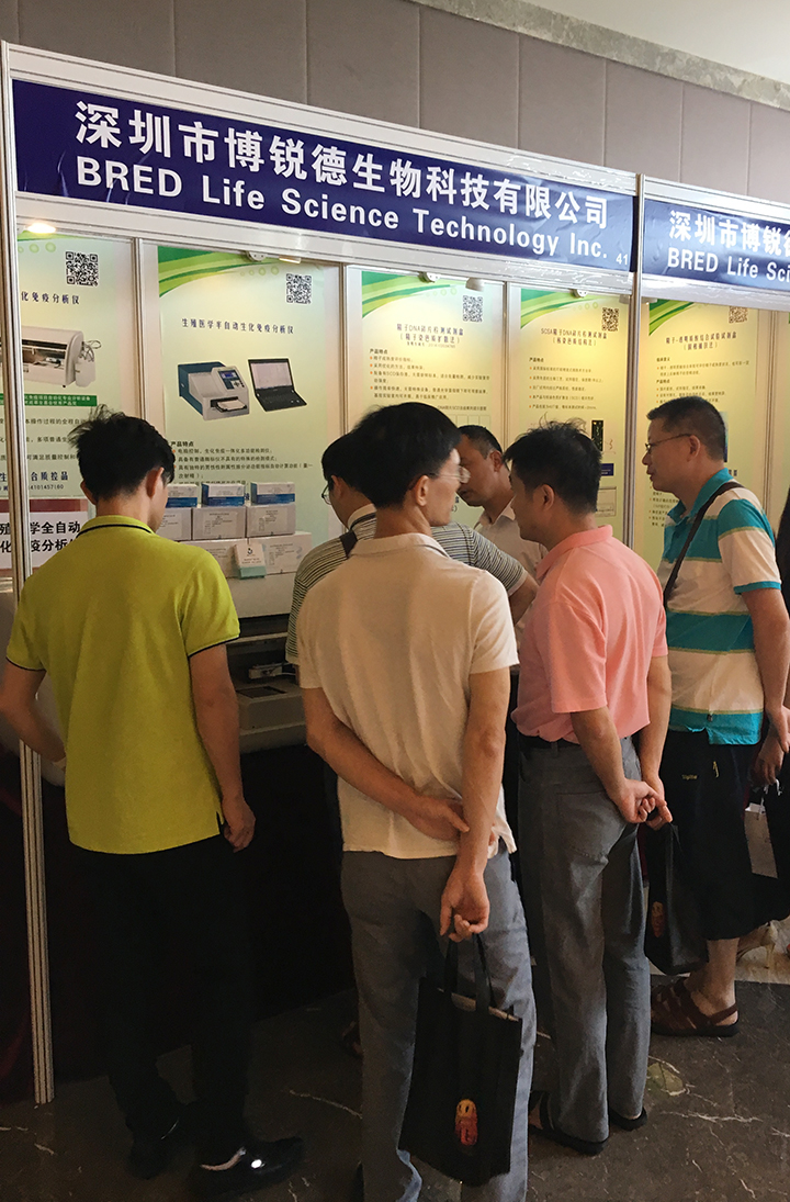 开云体云app官网入口