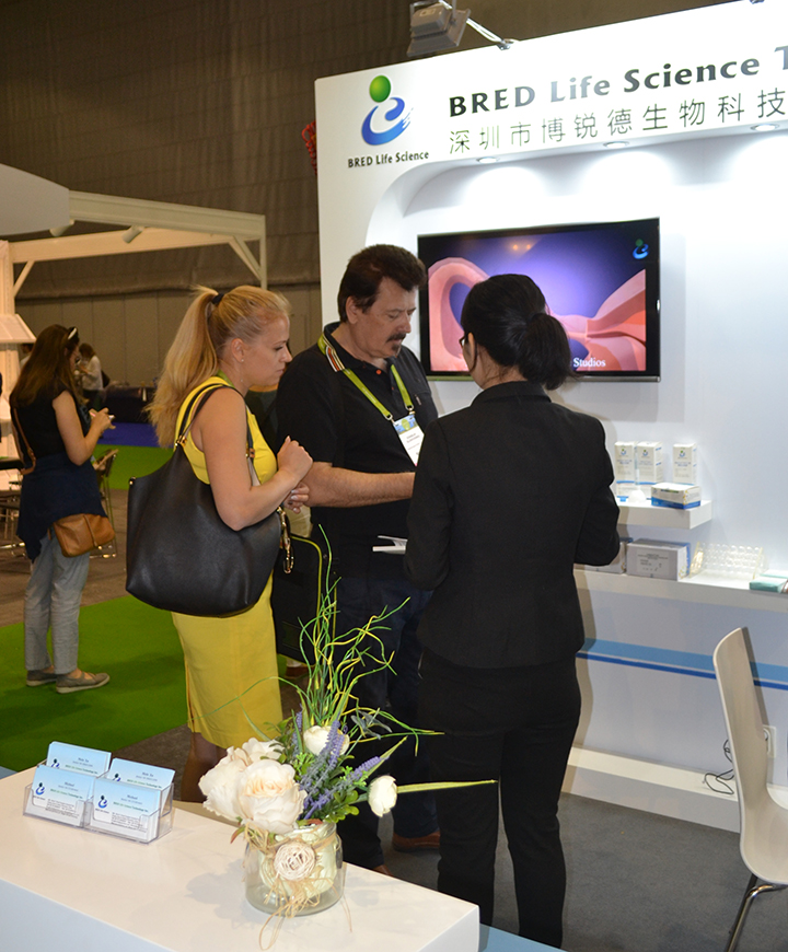 开云体云app官网入口