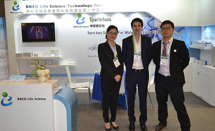 开云体云app官网入口